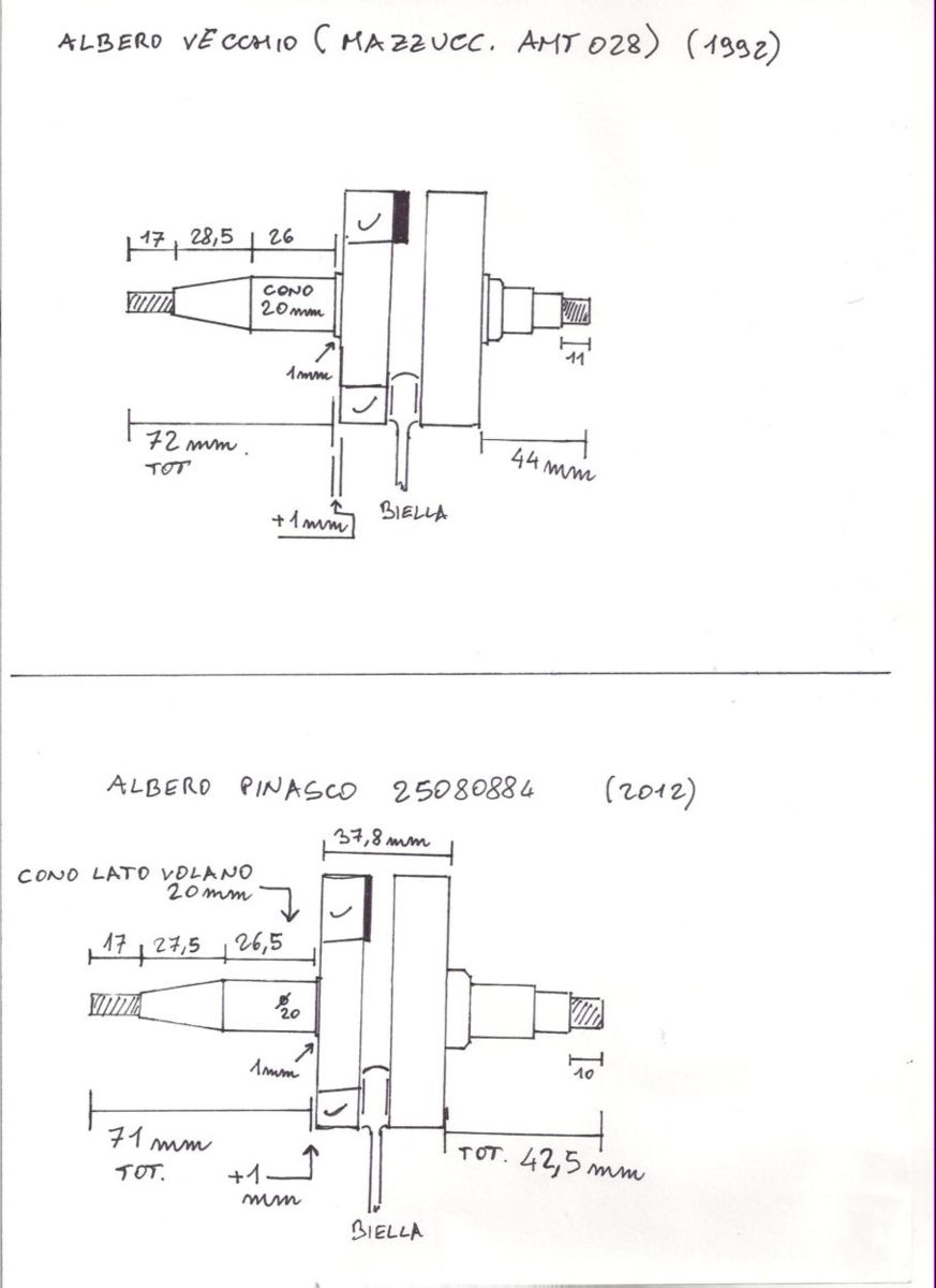 1_Albero MAZZ-PINASCO_misure.jpg